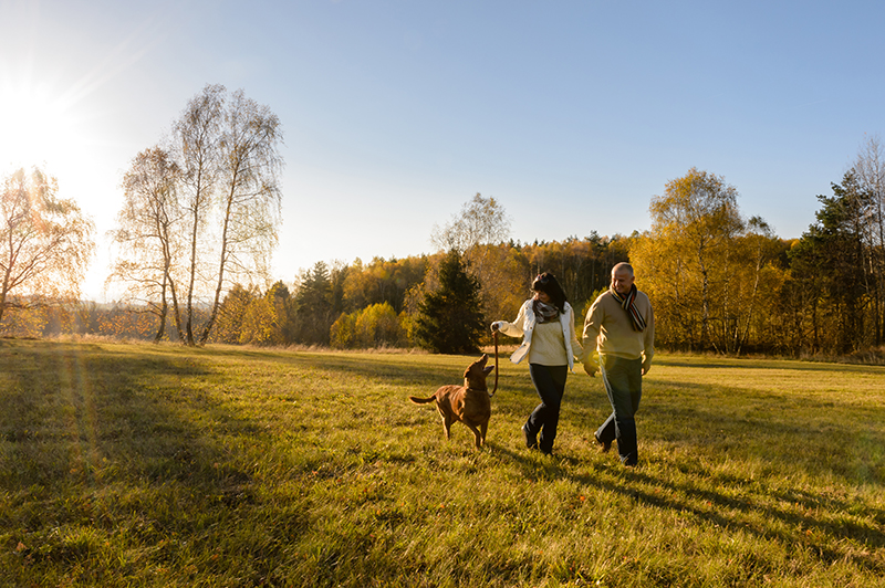 Couple walking, diabetes prevention