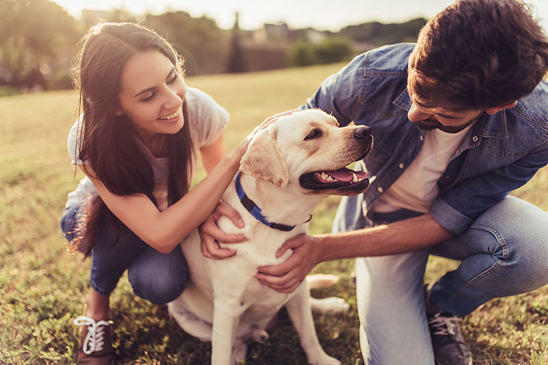 Man and woman outside with their dog, staying positive in hard times