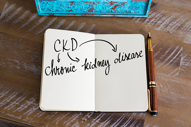 An open notebook showing page with CKD chronic kidney disease written out 
