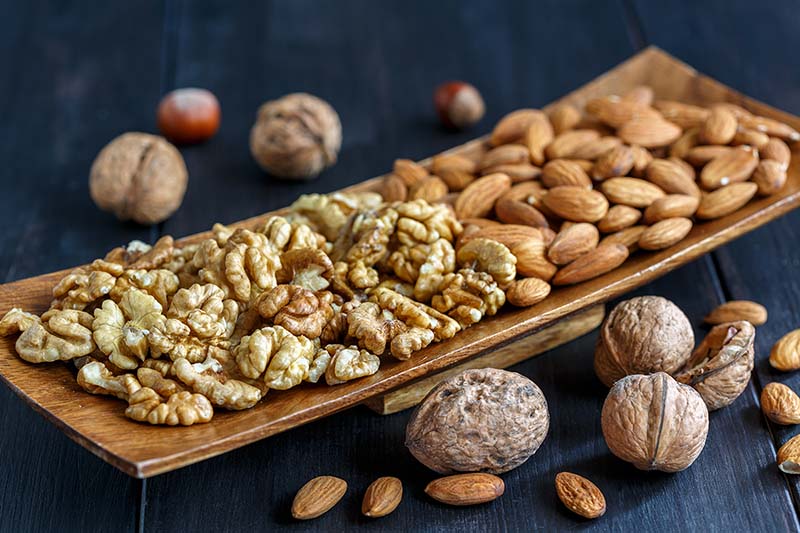 A plate of freshly peeled walnuts and almonds.
