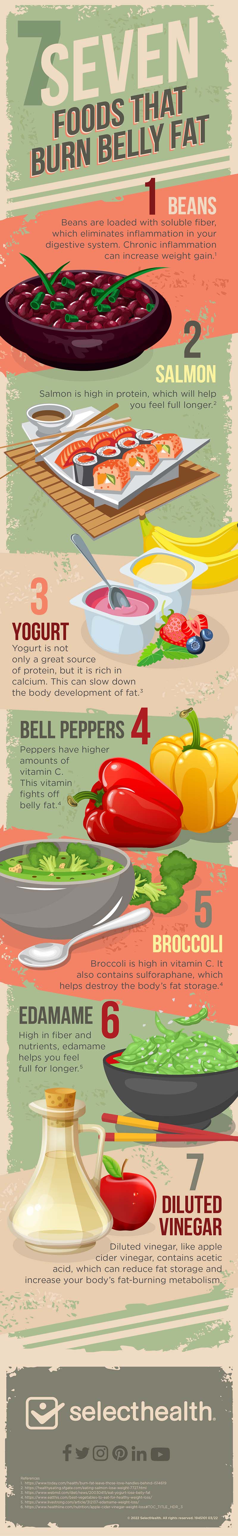 7 Foods that Burn Belly Fat Infographic
