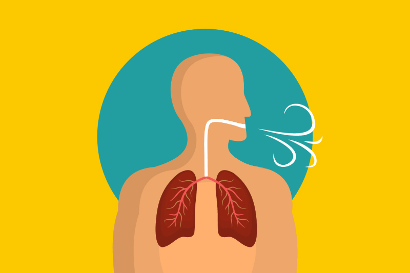 Illustration shows breathing lungs and mouth breathing.