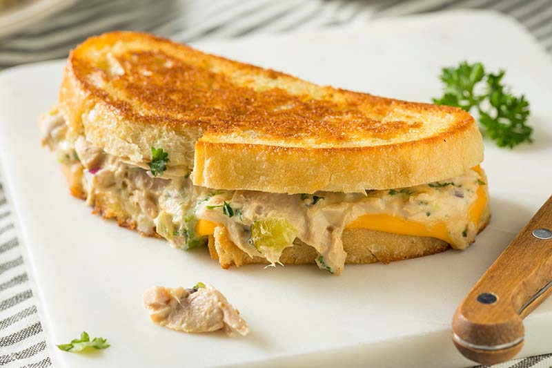 Healthy tuna melt sandwich