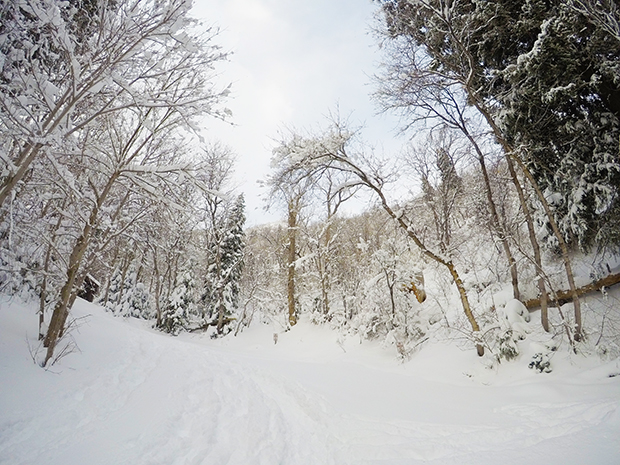 Snowshoeing, Mill Creek Canyon. Tips and advice