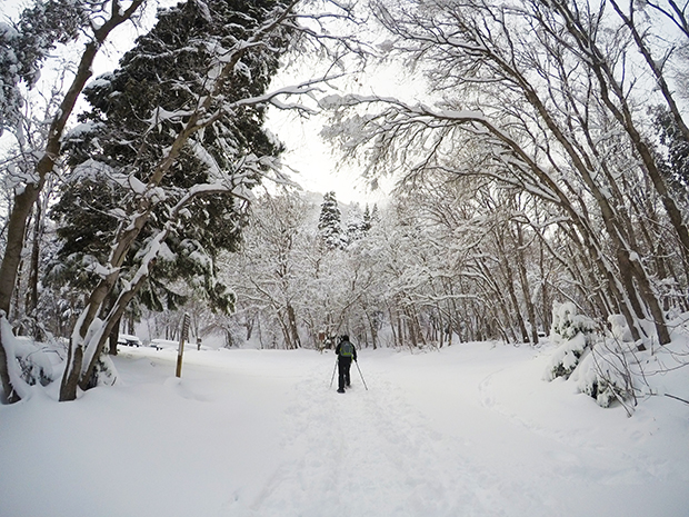 Snowshoeing, Mill Creek Canyon. Tips and advice