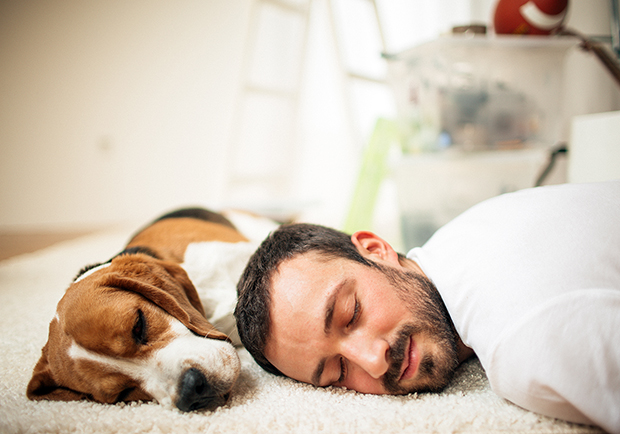 Man and his dog taking a quick nap, what are the health benefits of napping?