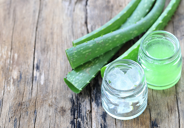 Aloe vera and the health benefits of it