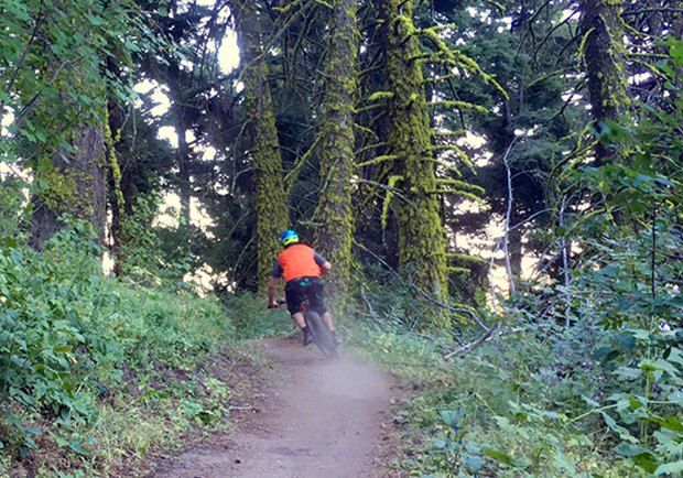 Staying safe while mountain biking in both Utah and Idaho. Man riding mountain bike. 