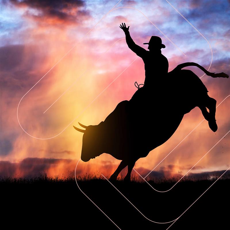  cowboy on bull