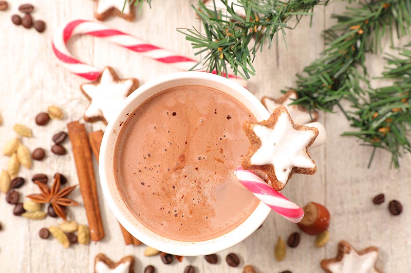 Dairy-free hot chocolate with peppermint candy canes. 